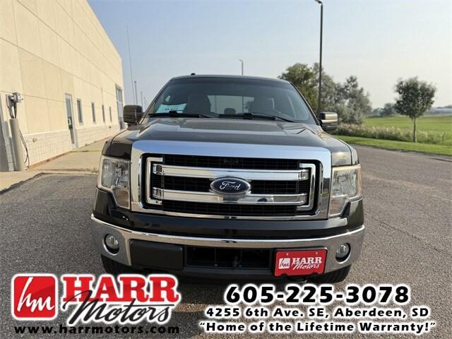 used 2014 Ford F-150 car