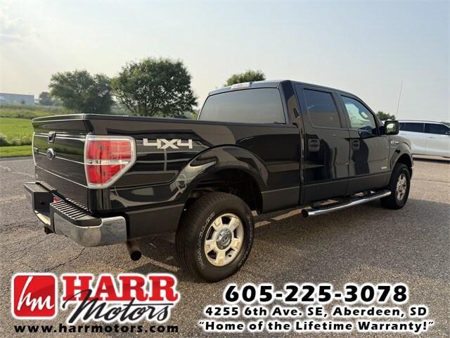 used 2014 Ford F-150 car