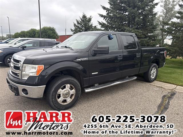 used 2014 Ford F-150 car