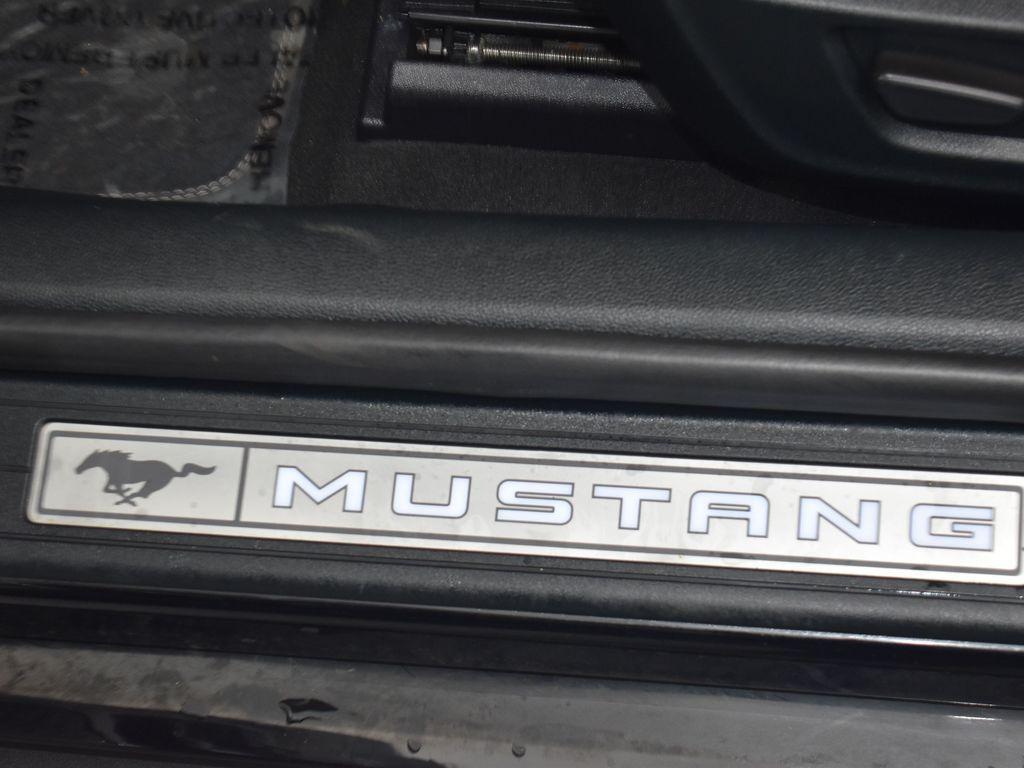 used 2022 Ford Mustang car, priced at $37,816