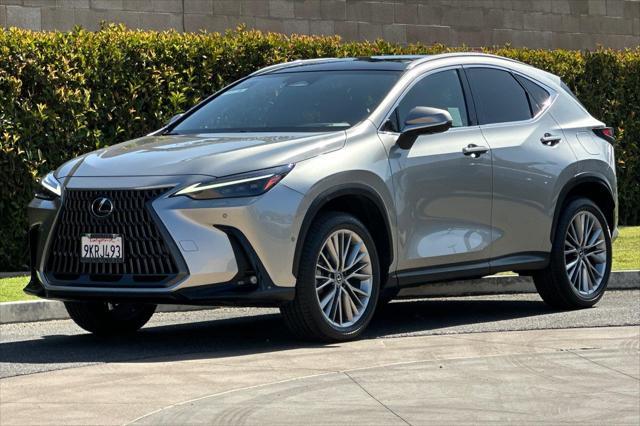 used 2024 Lexus NX 350h car