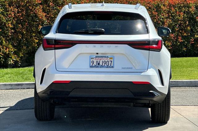 used 2024 Lexus NX 250 car