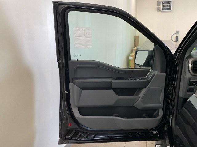 new 2024 Ford F-150 car