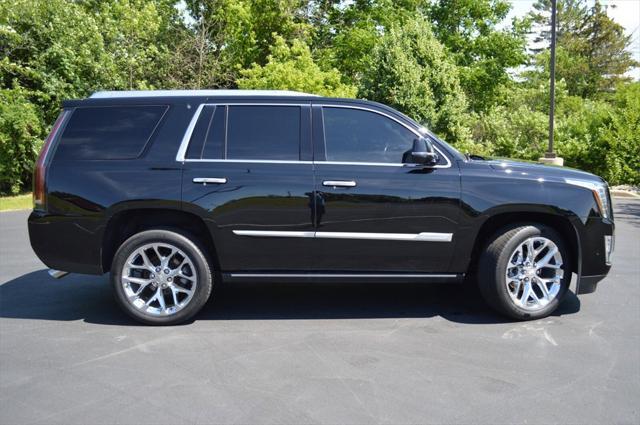 used 2019 Cadillac Escalade car, priced at $39,943