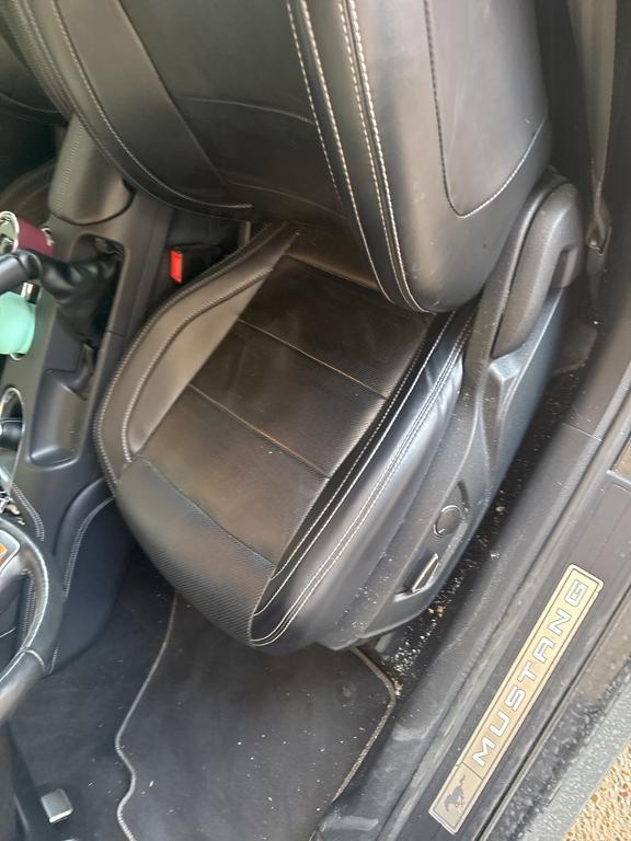 used 2019 Ford Mustang car, priced at $32,279
