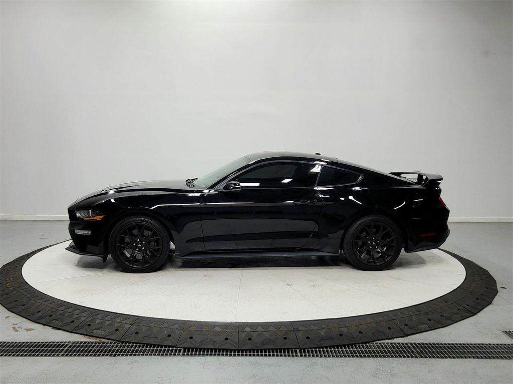 used 2019 Ford Mustang car, priced at $19,462