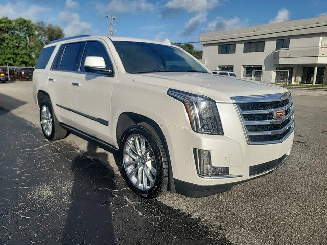 used 2019 Cadillac Escalade car, priced at $37,000