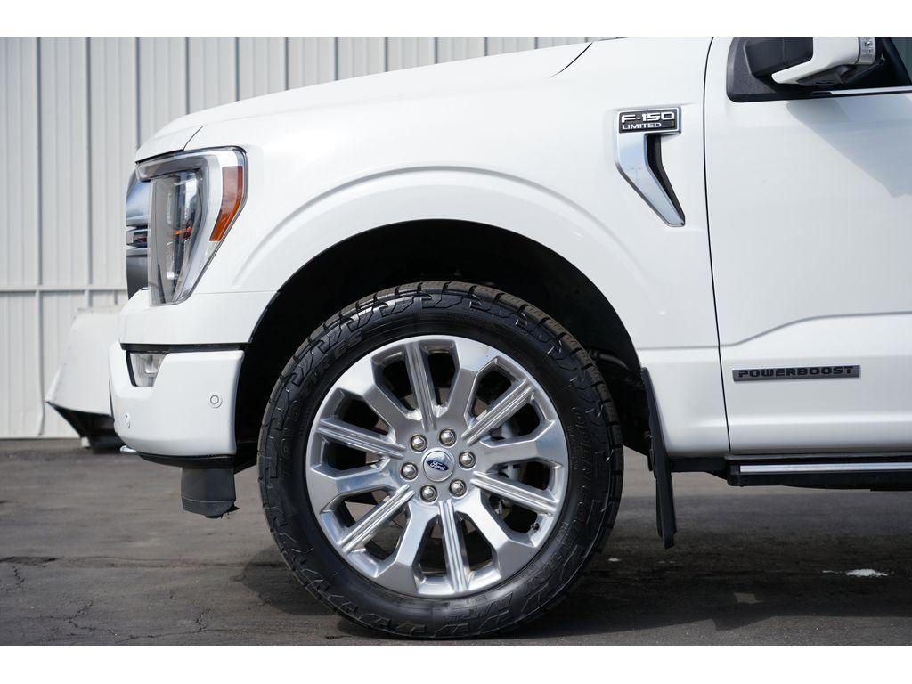 used 2023 Ford F-150 car, priced at $59,999