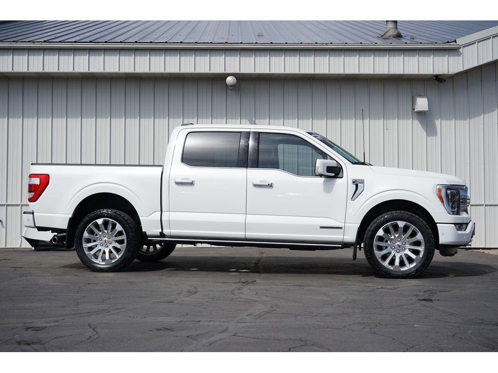 used 2023 Ford F-150 car, priced at $59,999