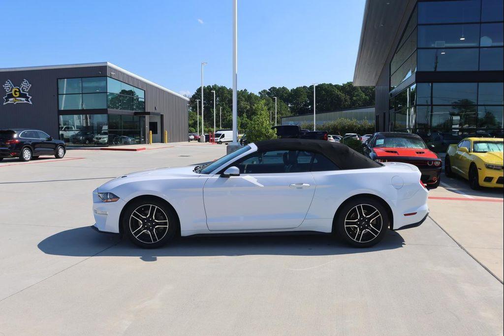 used 2019 Ford Mustang car, priced at $17,495