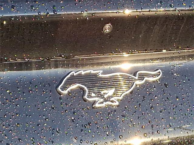 new 2025 Ford Mustang Mach-E car, priced at $54,935