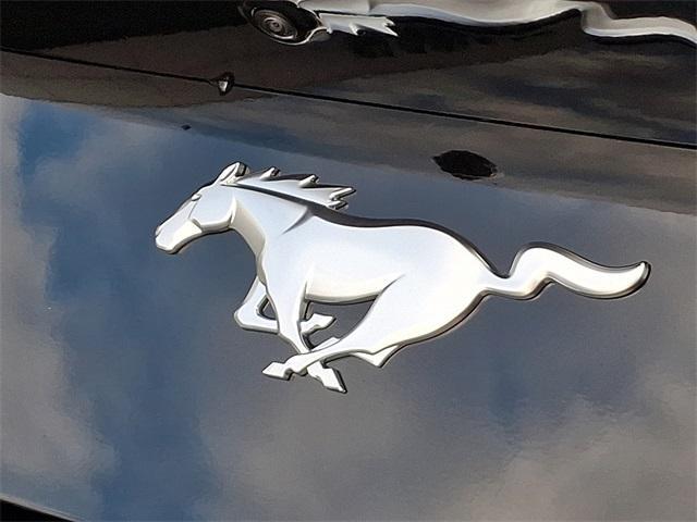 new 2026 Ford Mustang car, priced at $43,900