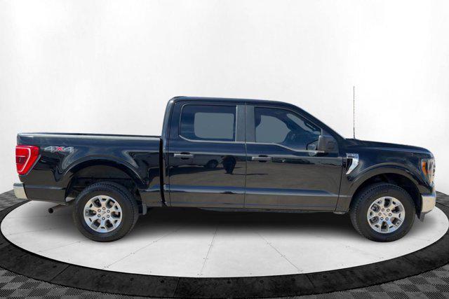 used 2023 Ford F-150 car, priced at $37,000