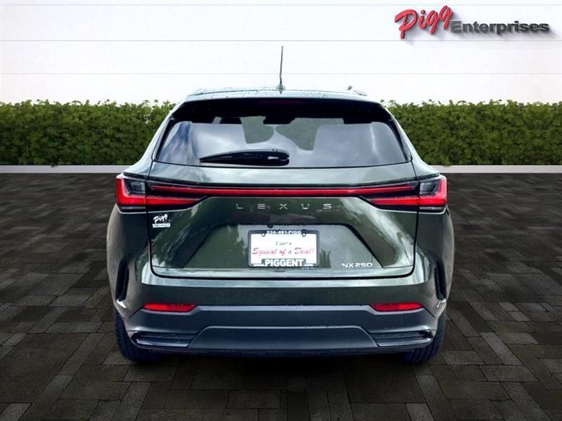 used 2024 Lexus NX 250 car, priced at $42,831