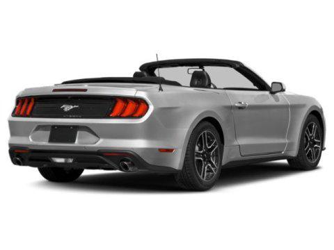 used 2019 Ford Mustang car