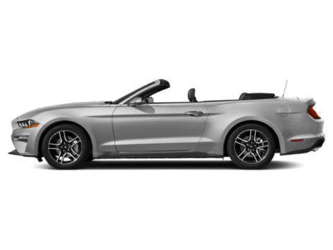 used 2019 Ford Mustang car