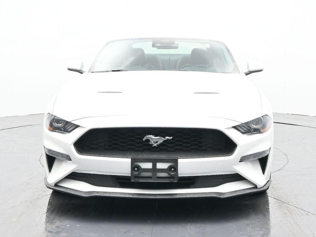 used 2023 Ford Mustang car, priced at $22,300