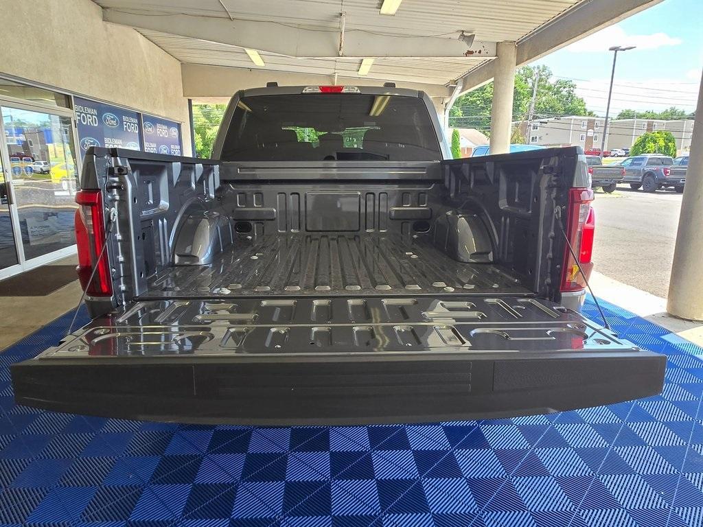 new 2025 Ford F-150 car, priced at $48,799