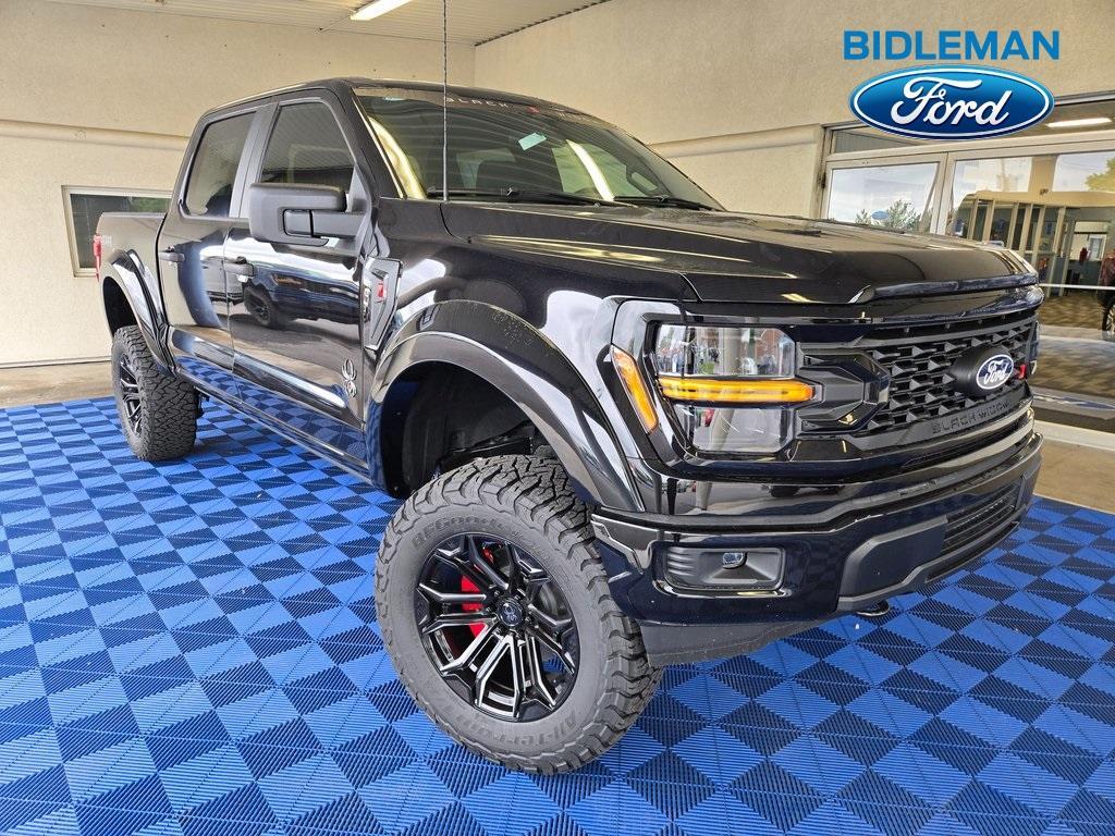 new 2025 Ford F-150 car, priced at $69,273