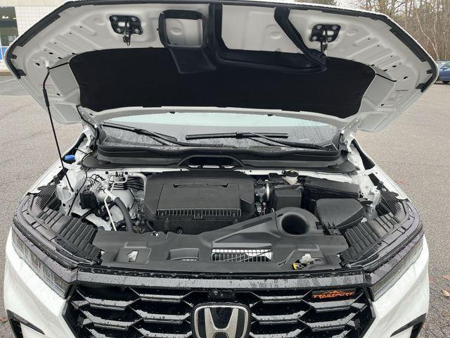 new 2025 Honda Pilot car, priced at $51,350