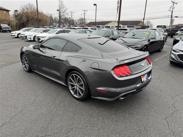 used 2019 Ford Mustang car, priced at $14,900