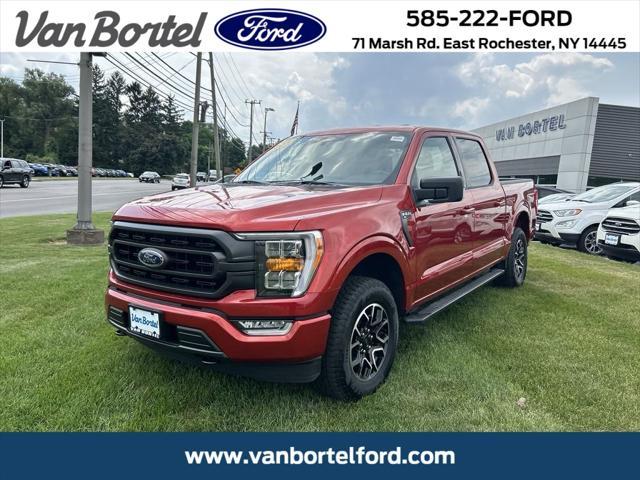 used 2023 Ford F-150 car, priced at $46,990