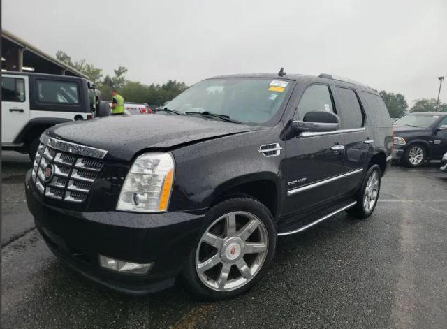 used 2014 Cadillac Escalade car, priced at $14,990