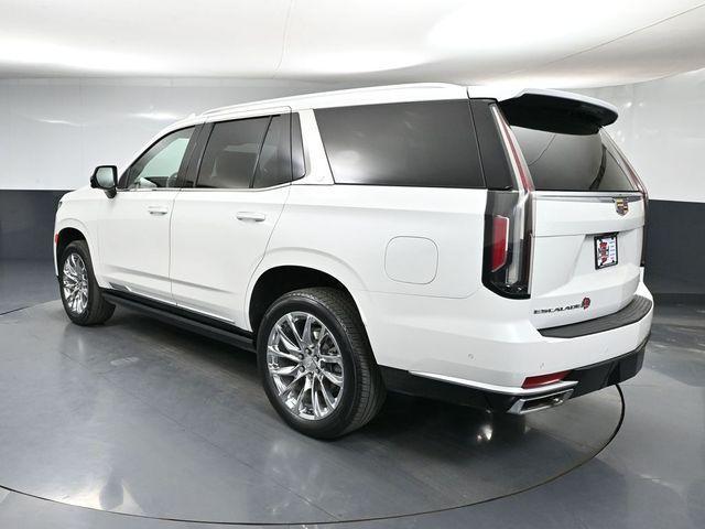 used 2021 Cadillac Escalade car, priced at $61,999