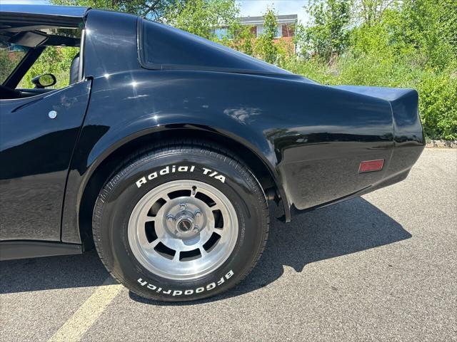 used 1981 Chevrolet Corvette car, priced at $17,500