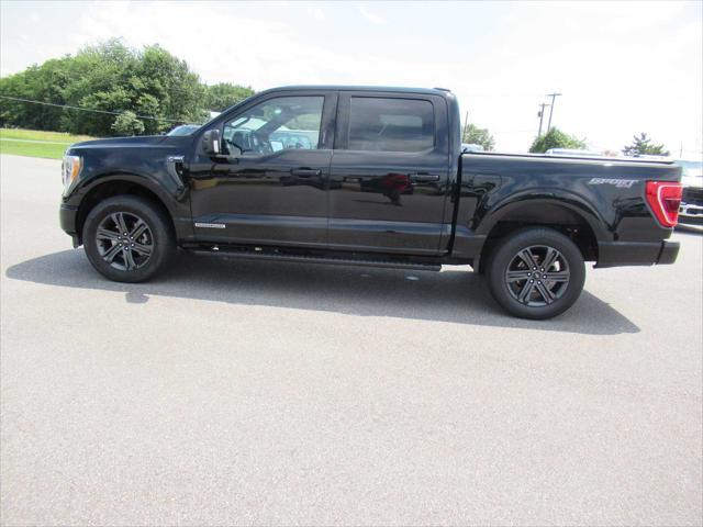 used 2023 Ford F-150 car, priced at $45,490