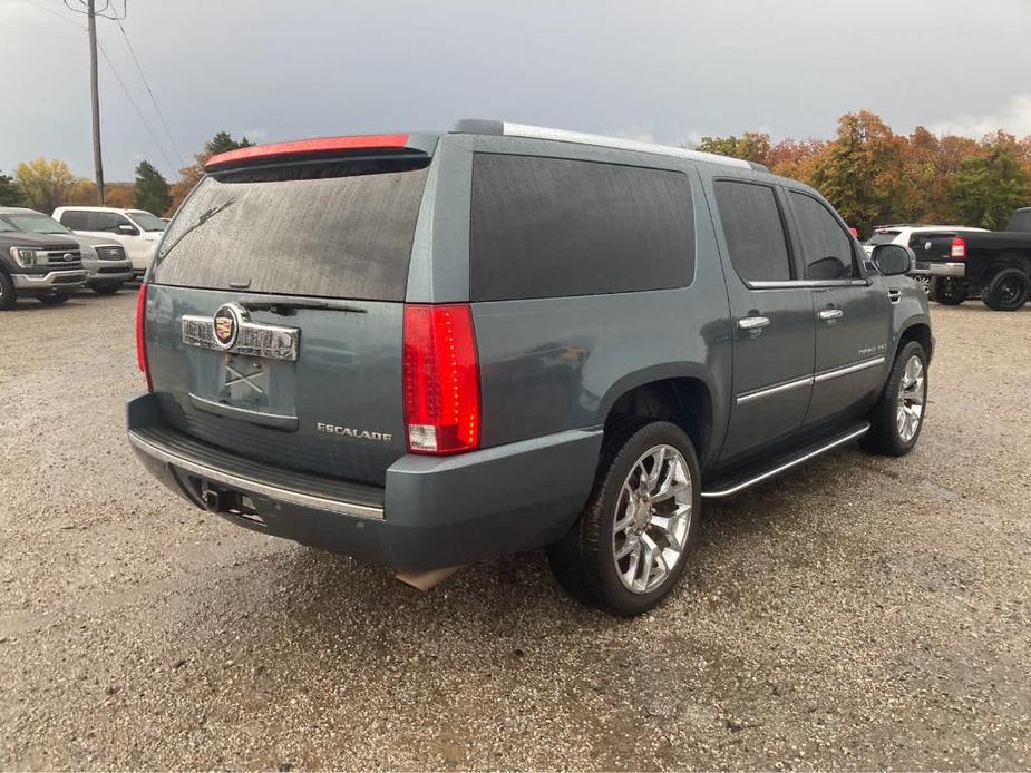 used 2008 Cadillac Escalade ESV car, priced at $13,500