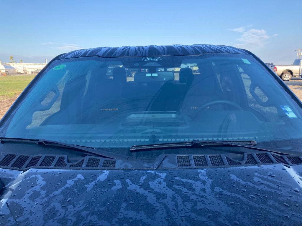 used 2025 Ford F-150 car, priced at $65,000