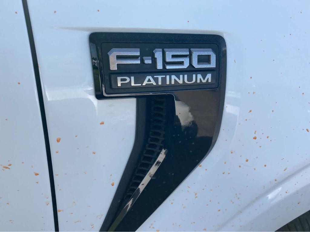 used 2024 Ford F-150 car