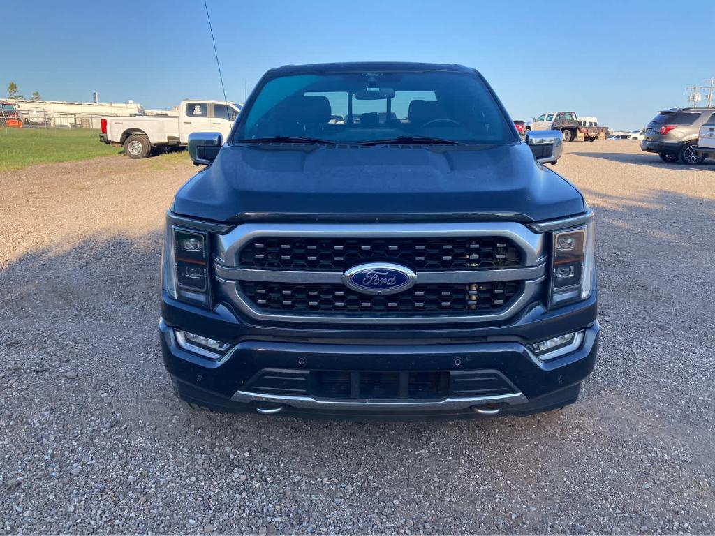 used 2021 Ford F-150 car, priced at $43,975