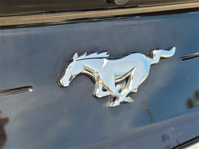 used 2022 Ford Mustang car, priced at $24,900
