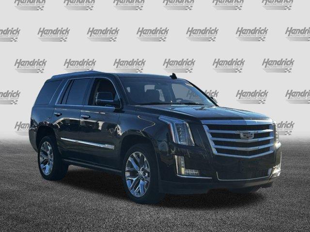 used 2019 Cadillac Escalade car, priced at $36,875