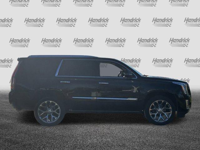 used 2019 Cadillac Escalade car, priced at $36,875