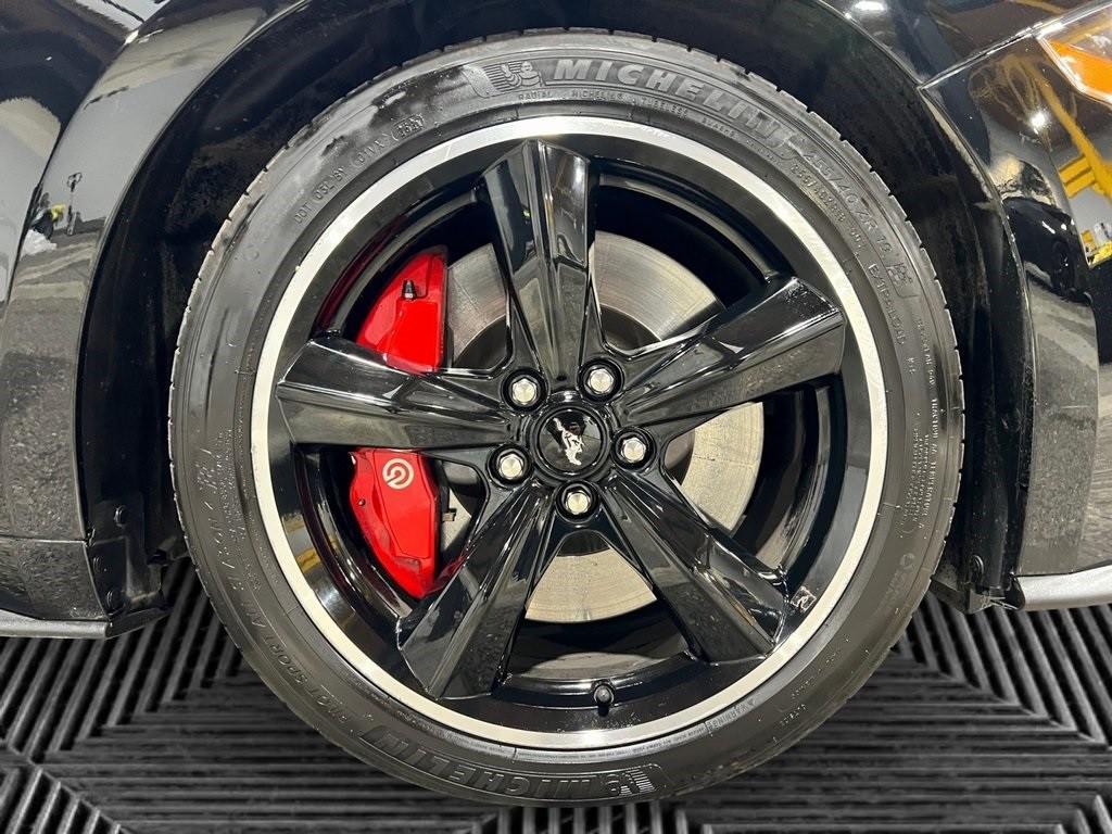 used 2019 Ford Mustang car