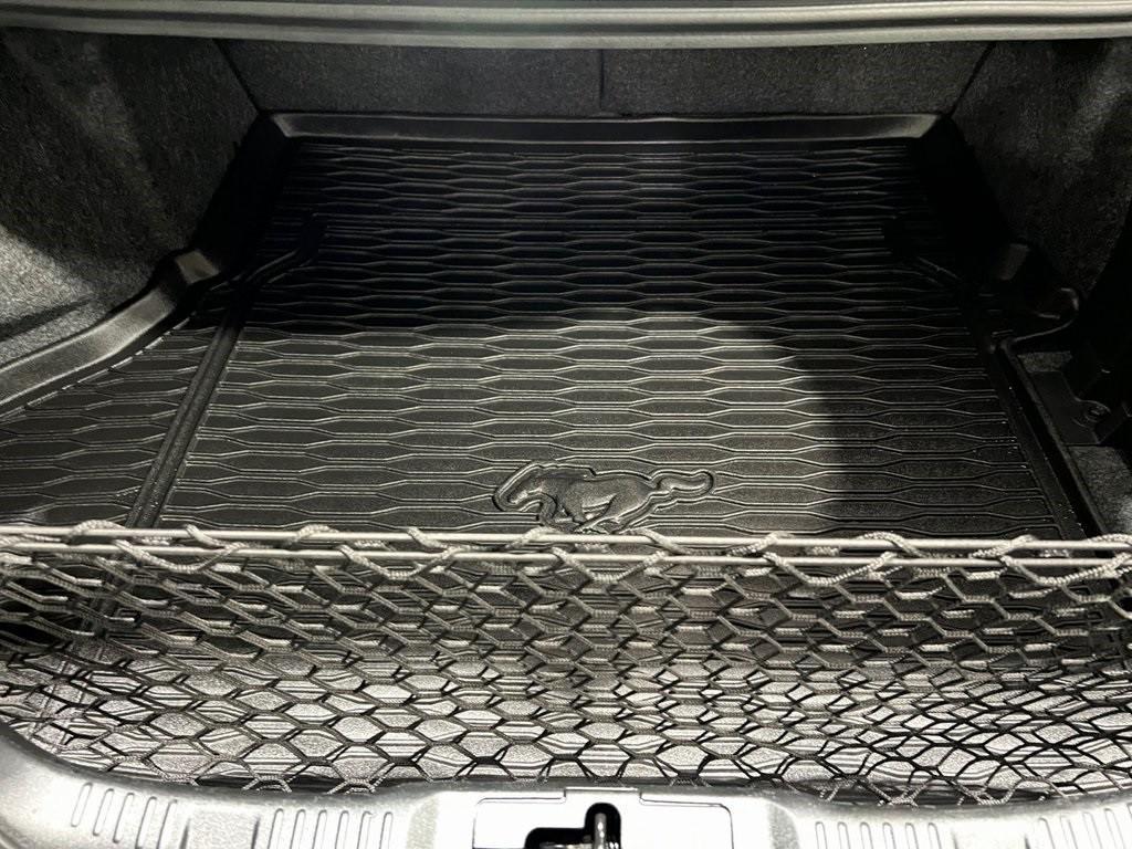 used 2019 Ford Mustang car