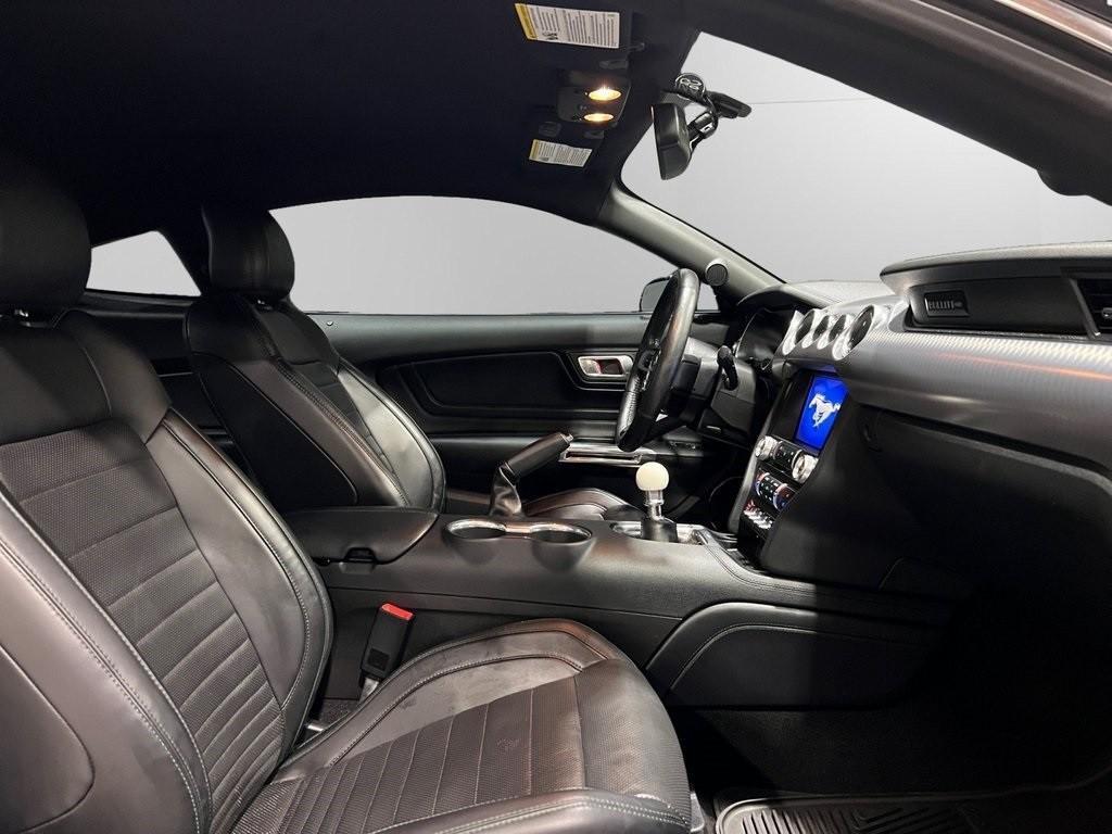 used 2019 Ford Mustang car