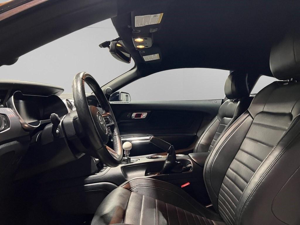used 2019 Ford Mustang car