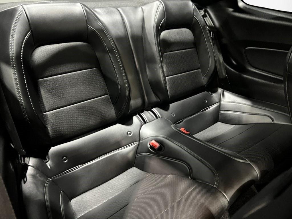 used 2019 Ford Mustang car