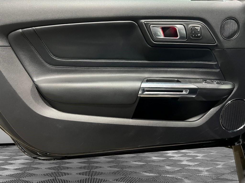 used 2019 Ford Mustang car