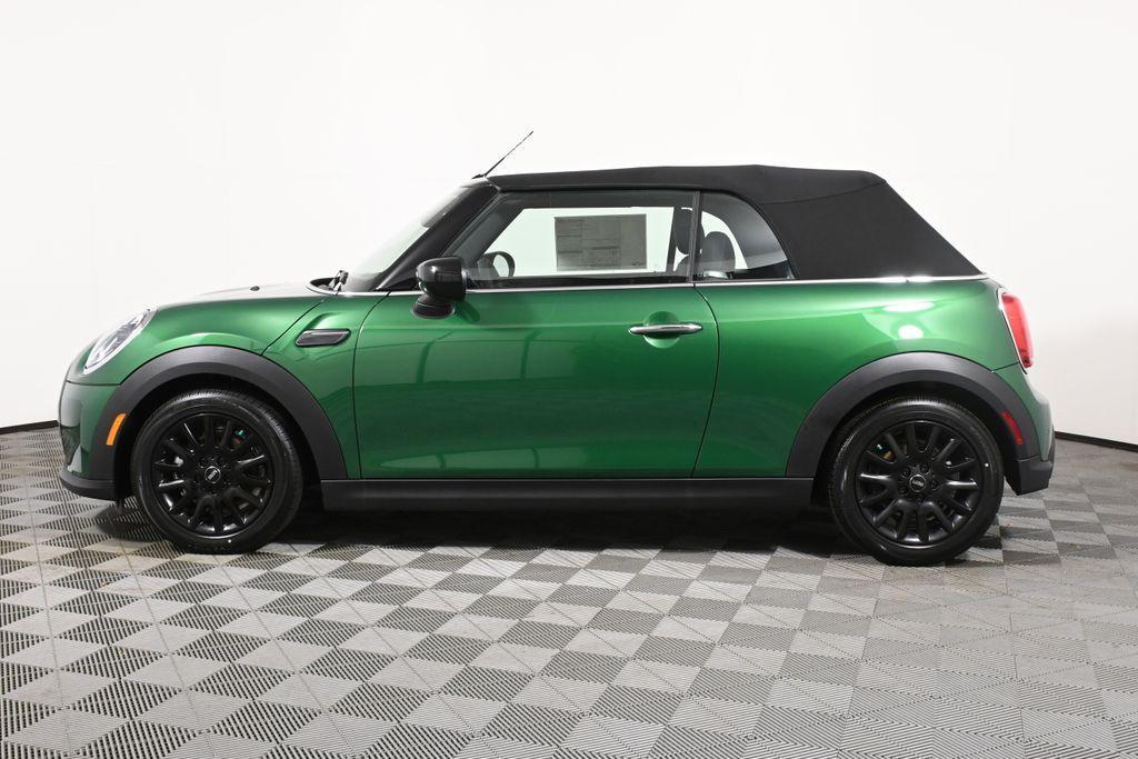 new 2024 MINI Convertible car, priced at $37,095