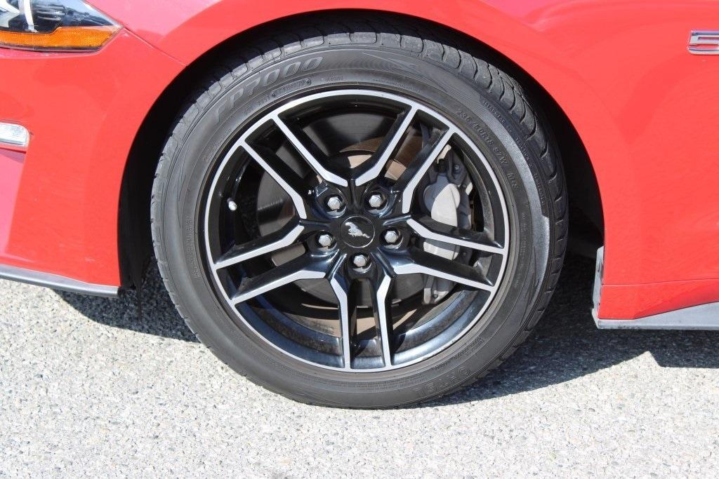 used 2019 Ford Mustang car, priced at $24,000