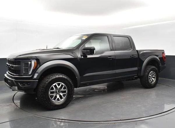 used 2023 Ford F-150 car