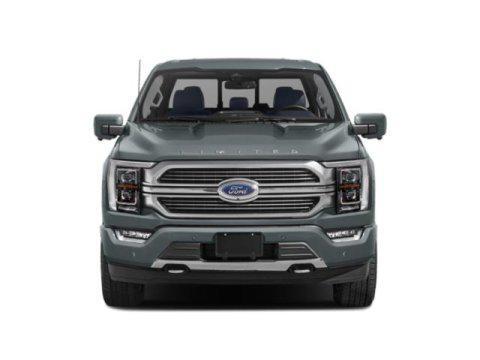 used 2023 Ford F-150 car