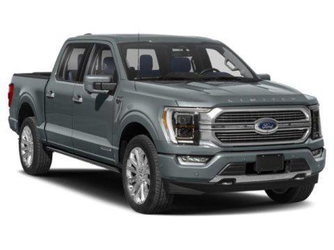 used 2023 Ford F-150 car