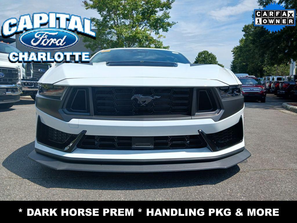 used 2024 Ford Mustang car