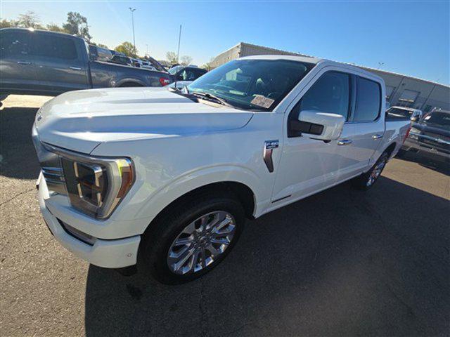 used 2023 Ford F-150 car, priced at $53,999